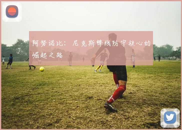 阿努诺比:尼克斯锋线防守核心的崛起之路
